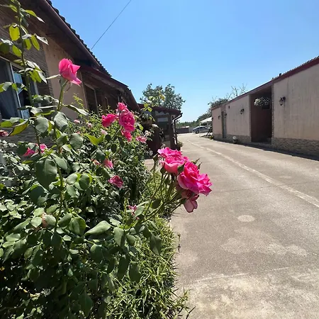 Pensiunea Casa Bianca