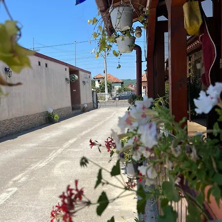 Pensiunea Casa Bianca Gasthof 3*